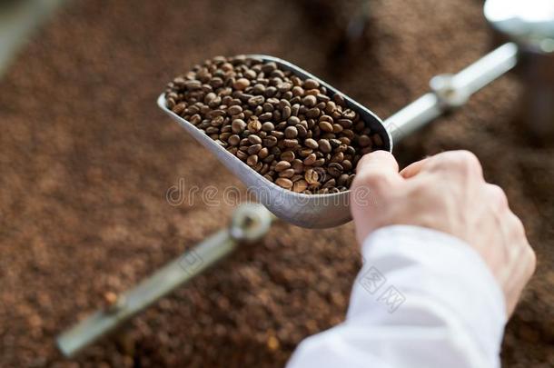 技<strong>工</strong>咖啡豆