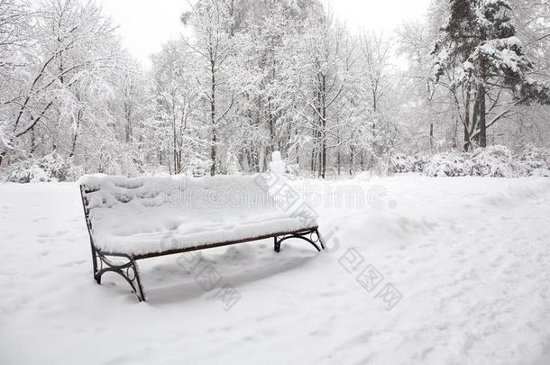 雪大量的长凳,坏的天气观念.美丽的下雪winter冬天