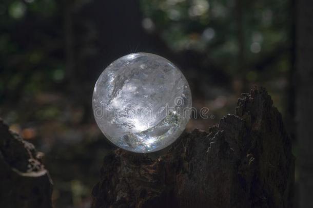 利莫里亚清楚的石英球结晶魔力的球向苔藓,苔藓