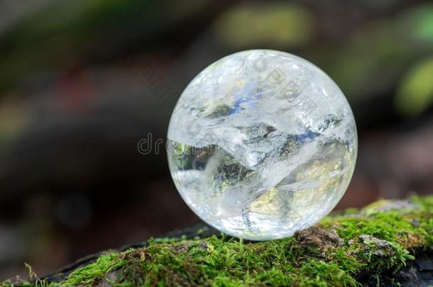 利莫里亚清楚的石英球结晶魔力的球向苔藓,苔藓鱼