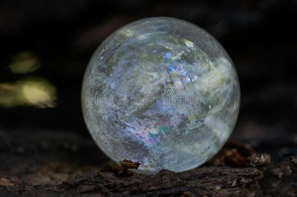 利莫里亚清楚的石英球结晶魔力的球向苔藓,苔藓鱼