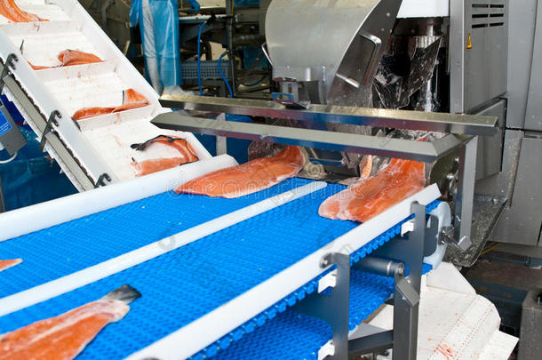 鱼工厂鲑鱼生产