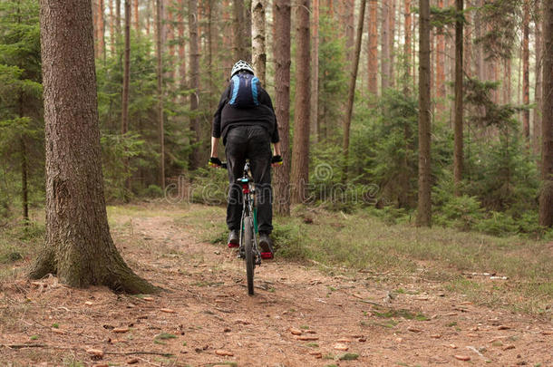 年幼的男人骑马一mount一in自行车直通指已提到的人森林.
