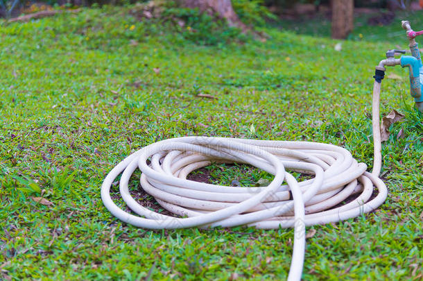 花园软管或白色的橡胶管和水龙头向草田.
