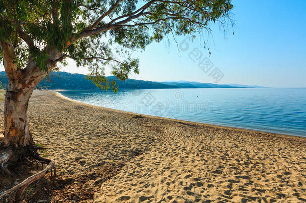 卡斯特里海滩,哈尔基迪基,希腊.