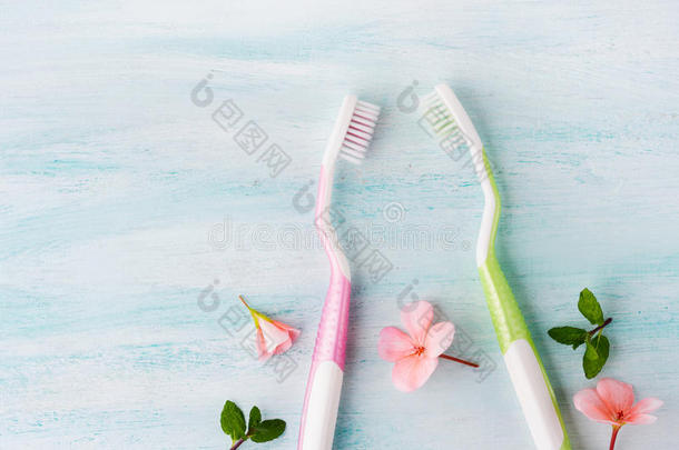 牙齿的卫生观念.牙刷,花,薄荷