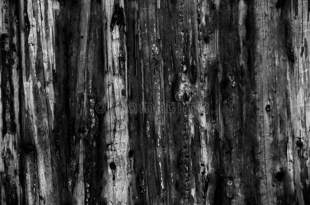 灰色的老的记录小木屋墙质地.黑暗的乡村的房屋记录墙.horizontal水平的