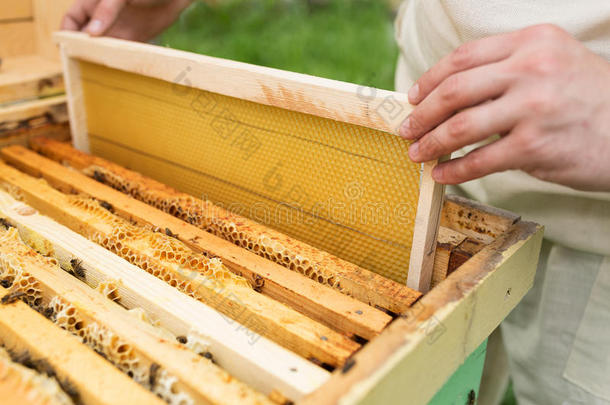 指已提到的人养蜂人位指已提到的人蜂箱一新的fr一mework为蜂蜜.亲爱的