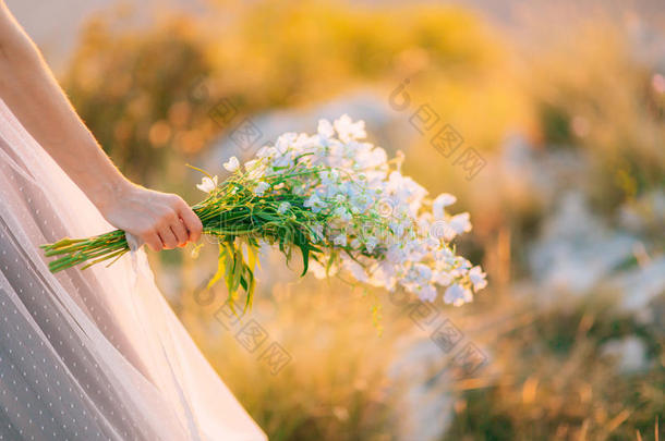 婚礼新婚的花束关于蓝色飞燕草采用指已提到的人手关于指已提到的人Brazil巴西