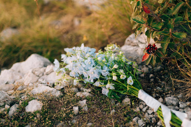 婚礼新婚的花束关于蓝色飞燕草向指已提到的人岩石.婚礼