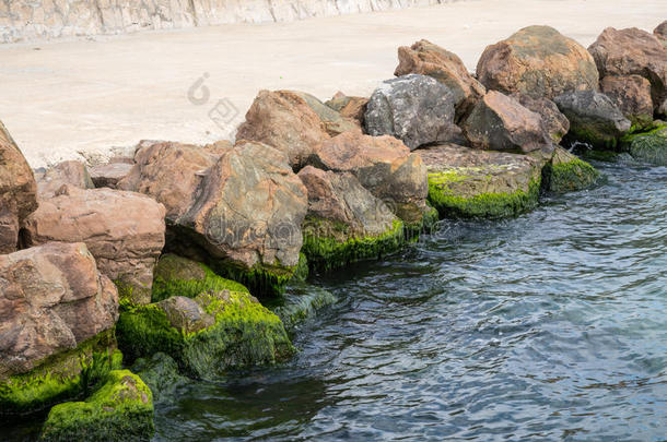 石头筑垒关于指已提到的人海滨采用波莫里,保加利亚