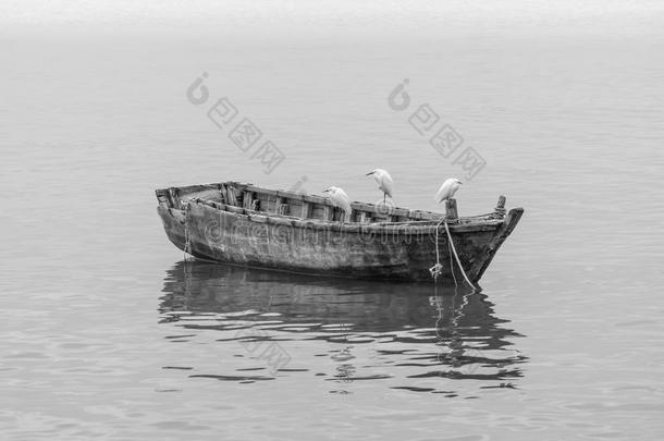 白鹭和木材小船