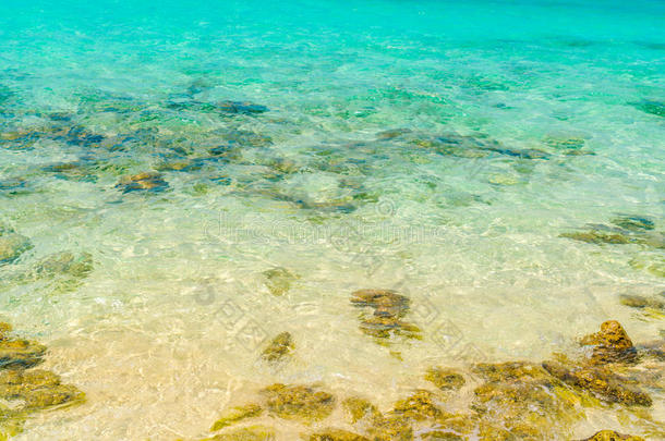 顶看法关于指已提到的人海和指已提到的人珊瑚礁体在马尔代夫岛.