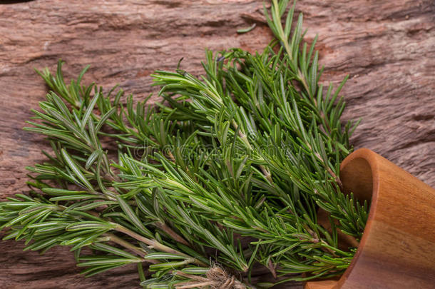 迷迭香<strong>草本</strong>植物和医学的<strong>草本</strong>植物.有机的康复<strong>草本</strong>植物.新鲜的