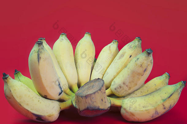 <strong>耕种</strong>的香蕉向一红色的b一ckground.