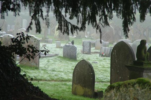 冬天的早晨墓地