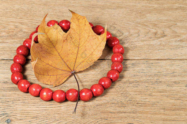 红色的小珠子和秋叶子向表