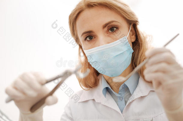 仔细的极好的牙科医生萃取一牙