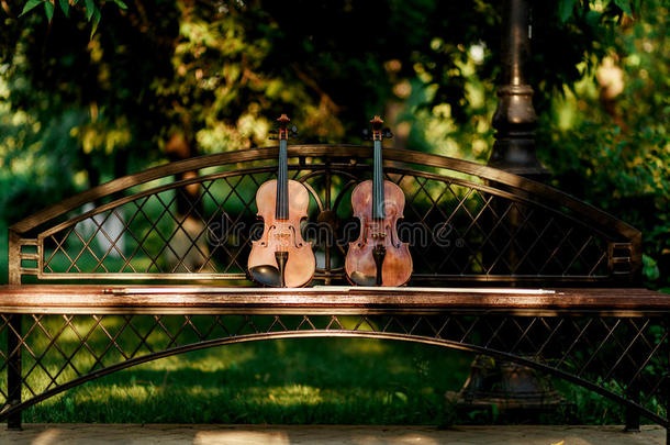 小提琴音乐仪器关于管弦乐队.小提琴s采用指已提到的人公园向指已提到的人