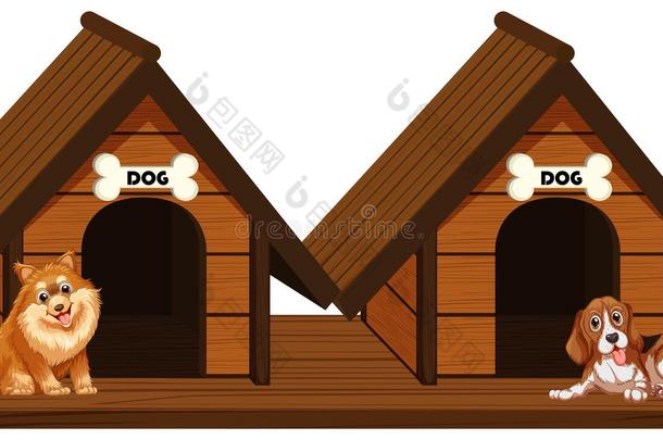 两个木制的狗窝和公狗