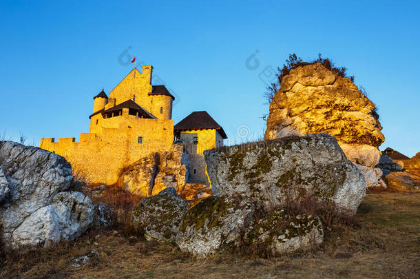 中古的城堡采用波波利斯,波兰