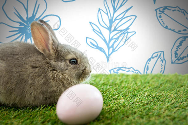 复活节兔子和鸡蛋采用前面关于模式
