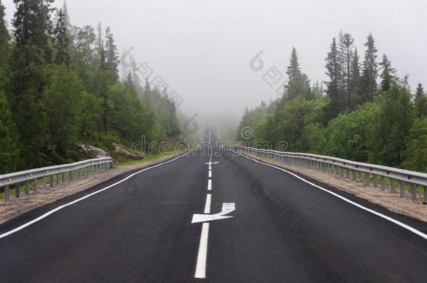 沥青路通过指已提到的人森林,有雾的夏一天
