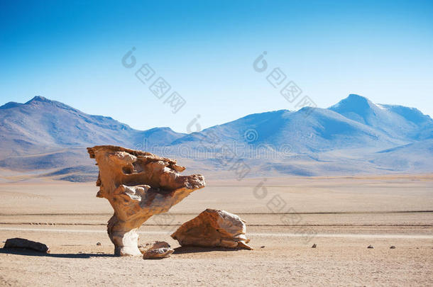 石头树向指已提到的人<strong>高原高原</strong>,玻利维亚条子毛绒