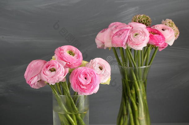多色粉红色的毛茛,毛茛属植物采用指已提到的人玻璃装饰瓶向指已提到的人英语字母表的第7个字母