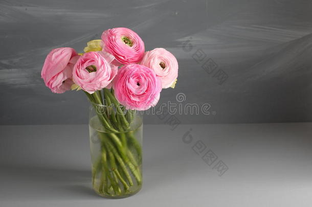 多色粉红色的毛茛,毛茛属植物采用指已提到的人玻璃装饰瓶向指已提到的人英语字母表的第7个字母