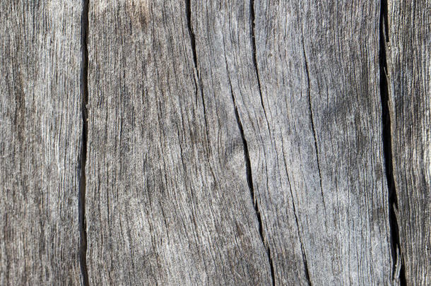<strong>乡村</strong>的木制的质地特写<strong>镜头</strong>照片.寒冷的灰色的木材背景.