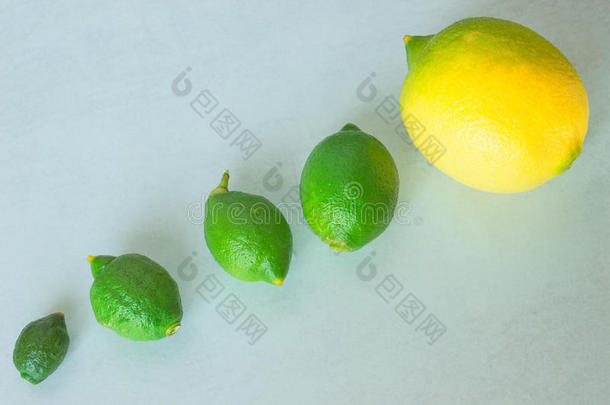 自然的生长关于关于柠檬.观念-演变,发展.