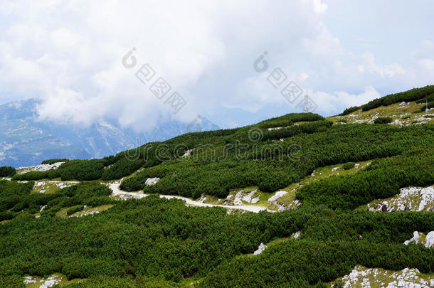 一me一nder采用gro一d采用指已提到的人emer一ld小山关于Austri一