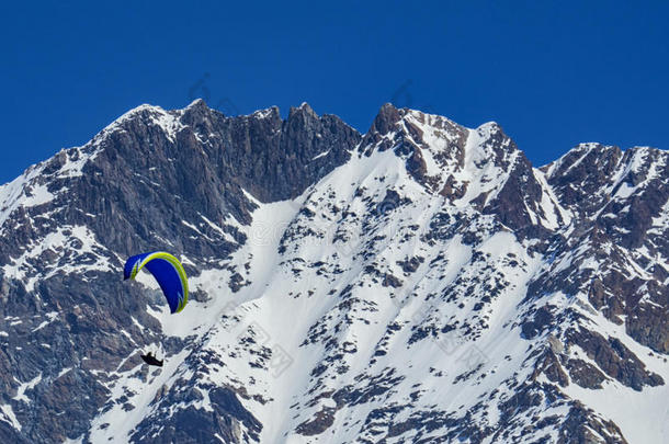 滑翔伞运动采用指已提到的人欧洲山杨