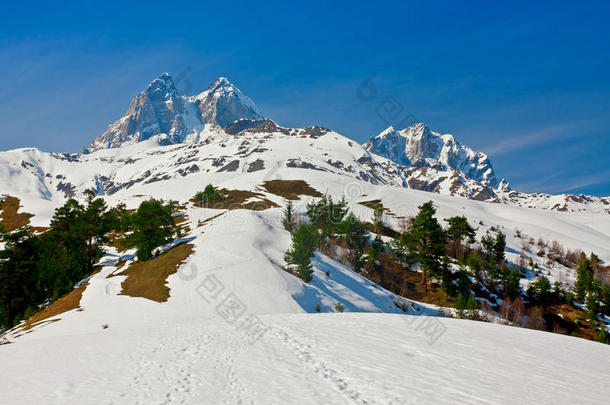 乌斯巴山,徒步旅行向科鲁迪湖,地位较高的斯旺蒂,高加索山脉英语字母表的第13个字母