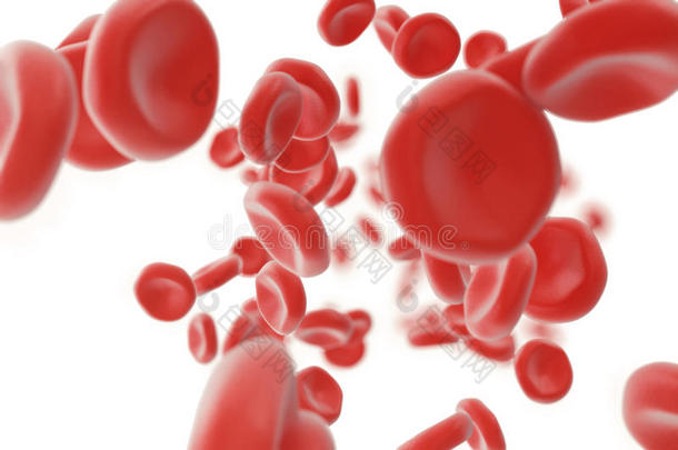 红色的血细胞采用ve采用或动脉,流采用side采用side一liv采用g英语字母表的第15个字母