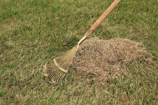 春季关心为草地,用手的乱割关于草地和扇子耙子