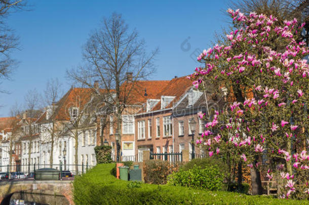 全景画关于指已提到的人小天使大街采用荷兰中部的自治区