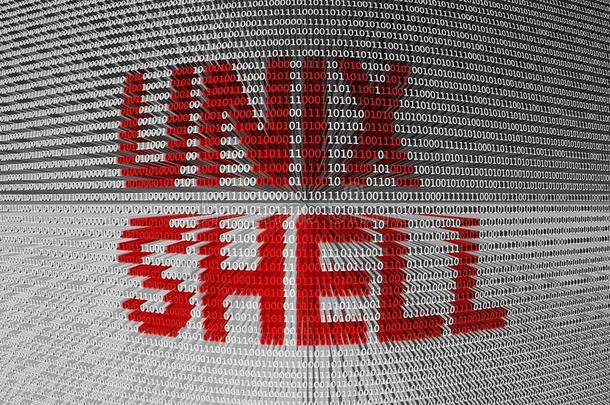UNIX操作系统一种多用户的计算机操作系统壳