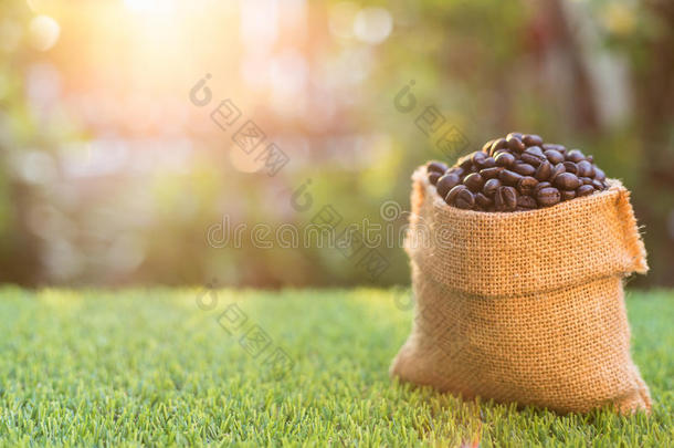 烤咖啡豆豆采用小的麻袋向绿色的草.