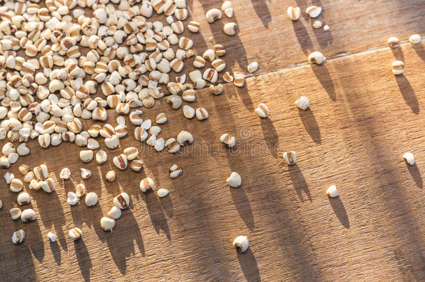 小米稻或小米双齿鱼叉采用小的麻袋向木制的表