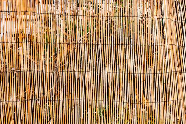 质地关于竹子.薄的乡间.干的干燥的竹子.一栅栏使关于大棒