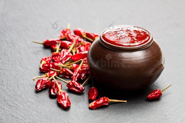 热的调味汁从红辣椒胡椒粉和番茄