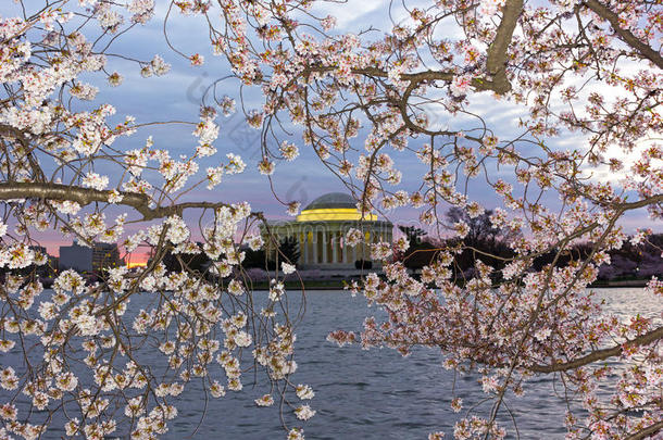 托马斯杰斐逊杰斐逊追随者纪念碑框架坝采用樱桃花花饰窗格,洗