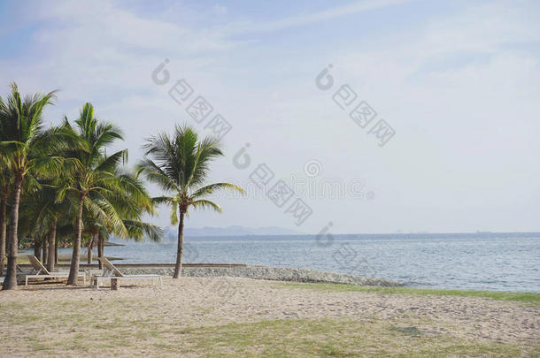 海滩和椰子树和坐卧两用沙发