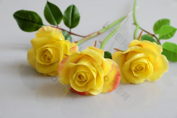 黏土黄色的玫瑰花向白色的背景