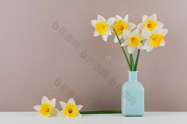 水仙或水仙花花采用装饰瓶和干净的空间f或欢迎