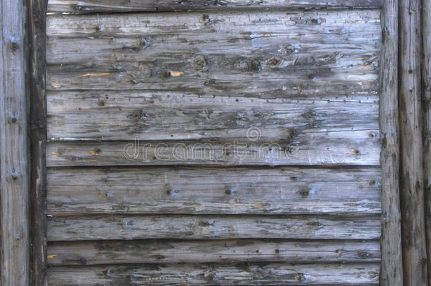 灰色木材质地.背景老的镶板和灰色大大地木材en