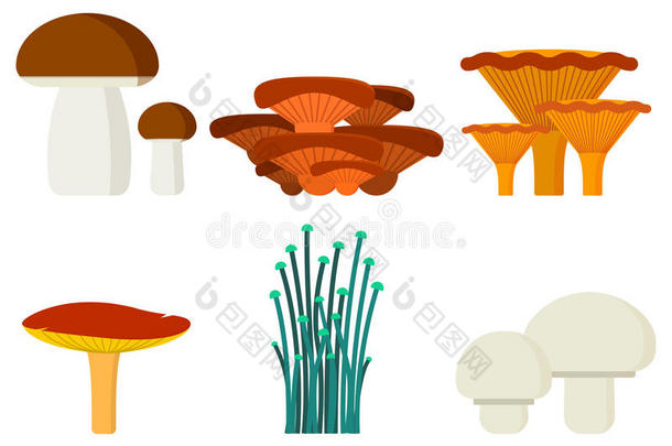 蘑菇为烹调食物和有毒的自然餐素食者异己酮中提取的丙酮