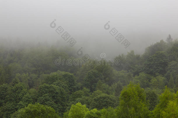 <strong>夏季</strong>风景关于比斯扎迪山<strong>范</strong>围和薄雾雨
